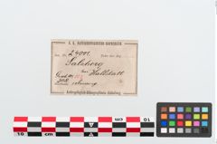 Etiketten zu Bronzearmreif (NHMW-PRAE-024001)